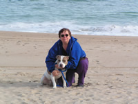 Staffordshire Terrier Dog at beach