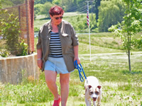 Staffordshire Terrier Dog walking